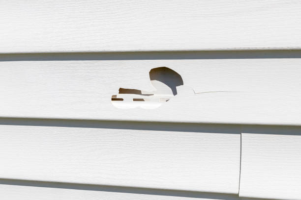 Best Stucco Siding  in Albion, MI
